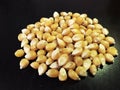 Raw corn on black Royalty Free Stock Photo