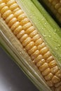 Raw corn close up with water drops