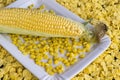 Raw corn cob, and cornflakes. Close up