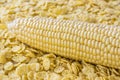 Raw corn cob and cornflakes closeup