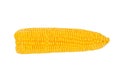 Raw Corn cob isolated on white background. Close up Royalty Free Stock Photo