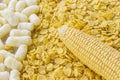 Raw corn cob, popcorn and cornflakes closeup