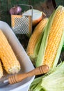 Raw corn on the cob to cook bake,vertically