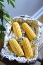 Raw corn on cobs in a baking dish. Prepare corn before cooking. Vegetable season. Fresh corn cobs prepared for cooking baked corn Royalty Free Stock Photo