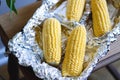 Raw corn on cobs in a baking dish. Prepare corn before cooking. Vegetable season. Fresh corn cobs prepared for cooking baked corn Royalty Free Stock Photo