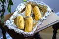 Raw corn on cobs in a baking dish. Prepare corn before cooking. Vegetable season. Fresh corn cobs prepared for cooking baked corn Royalty Free Stock Photo