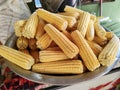 Raw corn cobs after harvest Royalty Free Stock Photo