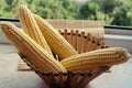 Raw corn cobs on wooden background closeup Royalty Free Stock Photo