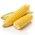 Raw corn isolated on transparent background Royalty Free Stock Photo