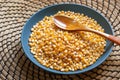 raw corn kernels in the blue plate Royalty Free Stock Photo
