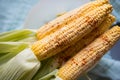 Raw corn prepared for baking Royalty Free Stock Photo