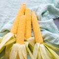 Raw corn prepared for baking Royalty Free Stock Photo