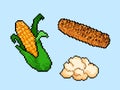 Raw corn, roasted corn, and pop corn pixel art drawing