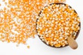 Raw corn seed Royalty Free Stock Photo