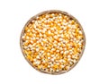 Raw corn seed. Royalty Free Stock Photo