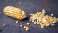 Raw Corn Seeds or Corn kernels are the fruits of corn. Grains of ripe corn. Kernels and seeds of maize. Royalty Free Stock Photo