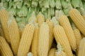 Raw Corns and cobs Stacked on Market Stall in Istanbul Royalty Free Stock Photo