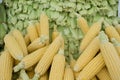 Raw Corns and cobs Stacked on Market Stall in Istanbul Royalty Free Stock Photo