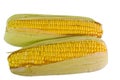 Raw Corns Royalty Free Stock Photo