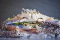 Raw crab on ice with on the dark background - fresh crab for cooked food at restaurant or seafood market , Blue swimming crab Royalty Free Stock Photo