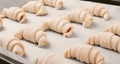 Raw croissants with filling prepared to be baked Royalty Free Stock Photo