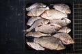 The raw crucians fish, live raw fish, crucian carp close-up.