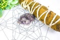 Raw crystal healing amethyst and white sages herb sticks for clearing negative energy on Metraton cube. Mind and soul spirit.