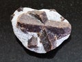 raw crystal of Staurolite in mica shale on dark