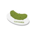 Raw Cucumber on plate vegan menu concept. Green Juiced Vegetable textured illustration. Royalty Free Stock Photo