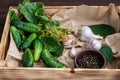 Raw cucumbers, dill flowers, cherry leaf, horseradish leaf, spices and herbs on a tray on a wooden background