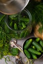 raw cucumbers for pickling. Fresh cucumbers ready for canning with dill,currant leaf, pepper, garlic and spices on grey backgroud, Royalty Free Stock Photo