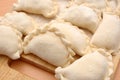 Raw curds (fruit dumplings). Royalty Free Stock Photo