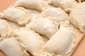 Raw curds (fruit dumplings). Royalty Free Stock Photo