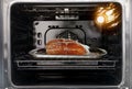 Raw cut salmon fish in the oven Royalty Free Stock Photo