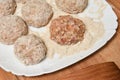 Raw cutlets of the beef and pork raw minced meat Royalty Free Stock Photo