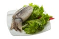 Raw cuttlefish