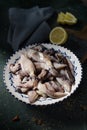 Raw raw cuttlefishes in a bowl Royalty Free Stock Photo