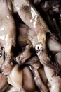 Raw cuttlefishes on sale in a fish market Royalty Free Stock Photo