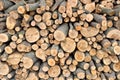 Raw debarked wood logs in a lumber staging and storage yard. Raw timber stacked Royalty Free Stock Photo