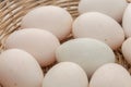 Raw dirty duck eggs in basket Royalty Free Stock Photo