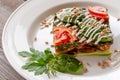 Vegetarian dish: lasagna with zucchini, mushrooms, tomatoes, basil, wheat germ, spinach, garlic. Raw food dish. Royalty Free Stock Photo