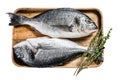 Raw Dorado fish with cooking ingredients, cherry tomatoes, thyme, pepper. Isolated on white background. Top view. Royalty Free Stock Photo