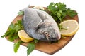 Raw dorado fish with hebs and lemon Royalty Free Stock Photo