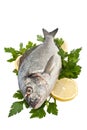 Raw dorado fish with hebs and lemon Royalty Free Stock Photo