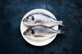 Raw dorado fish on white plate on dark blue background. Top view, copy space Royalty Free Stock Photo
