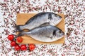 Raw dorado fish on yellow plate with peppercorns on white table. Royalty Free Stock Photo