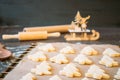 Raw dough cookies in Christmas tree shape ready to bake