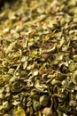 Raw Dried Green Greek Oregano Spice Royalty Free Stock Photo