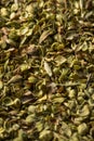 Raw Dried Green Greek Oregano Spice Royalty Free Stock Photo