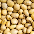 Raw dried soybeans close up